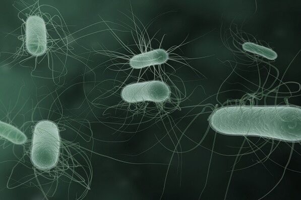 mikroorganismer, der forårsager patologisk udledning, når de ophidses